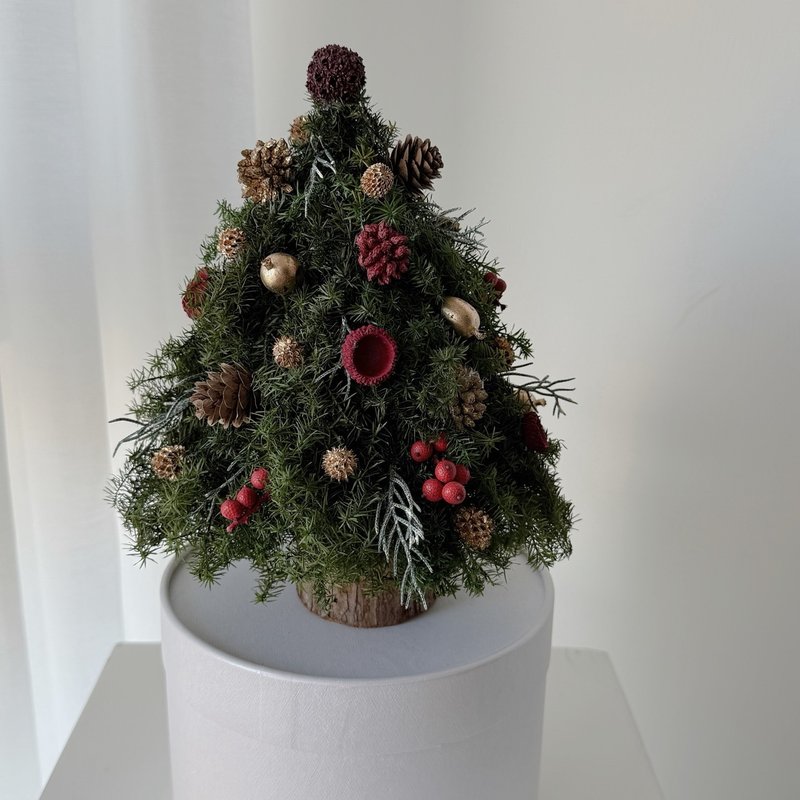 SEE 花芸設計|クリスマス|プリザーブドヒマラヤスギ|クリスマスツリー|輝くクリスマスヒマラヤスギツリー - ドライフラワー・ブーケ - 寄せ植え・花 