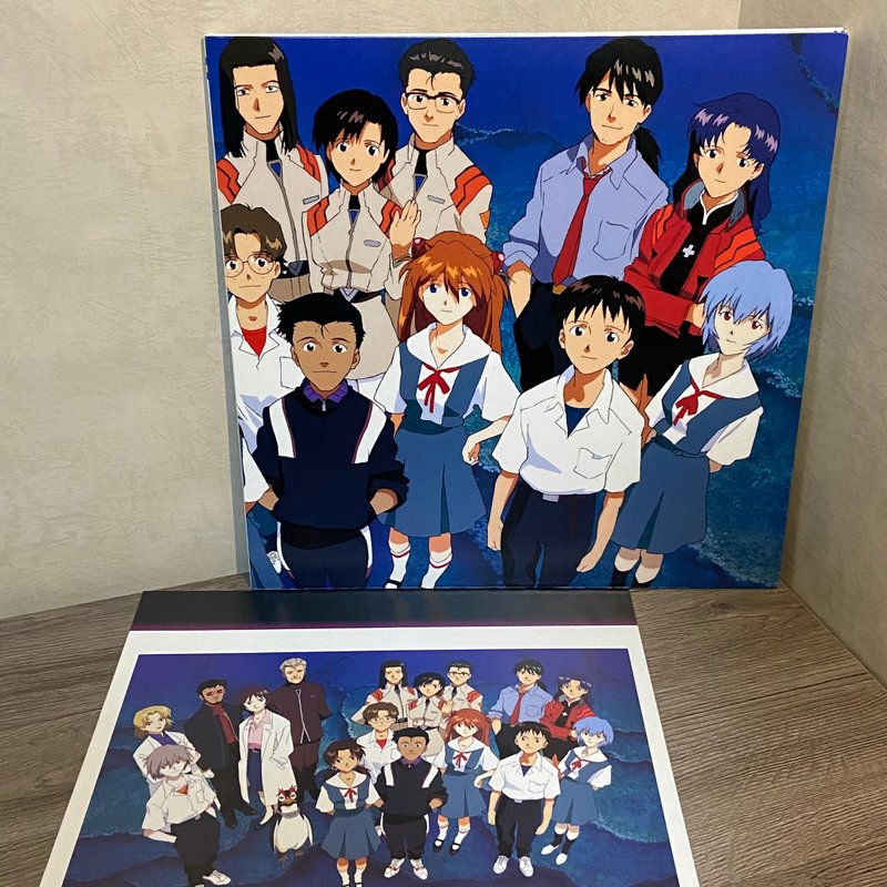 新世紀福音戰士 大張 雷射影碟 全家福 - 擺飾/家飾品 - 其他材質 多色