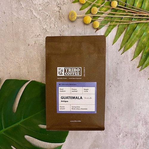 TRIBO COFFEE 瓜地馬拉 安提瓜 花神 水洗 中焙 (半磅咖啡豆)