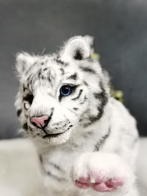 リアルアートドール 製作オーダー 犬 猫 500x0.jpg