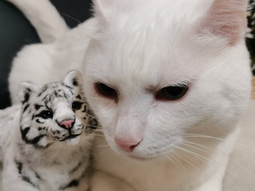 オーダーメイドの虎アートドール リアルな動物 ポーズ可能