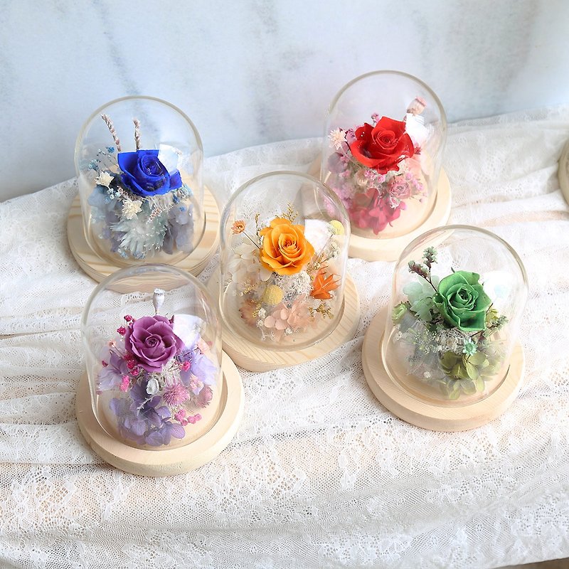 Christmas Gift Glass Cover Cup S04 Valentine's Day Gift Exchange Gift Rainbow Cover Cup Opening Gift - Dried Flowers & Bouquets - Plants & Flowers 