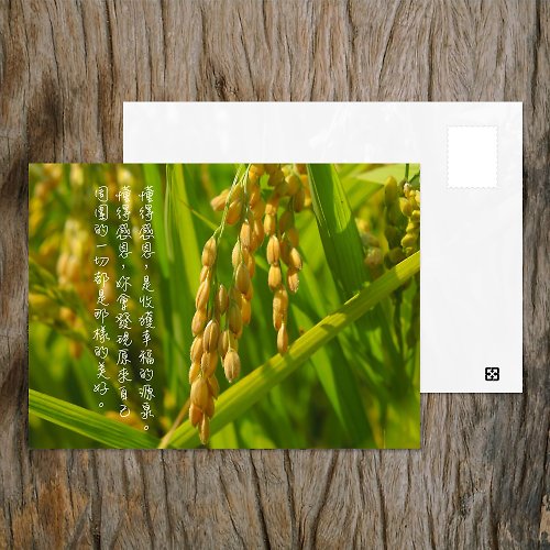 臺灣明信片製研所 - 啵島 Lovely Taiwan Postcard No.A17明信片 / 懂得感恩 / 任選買10送1
