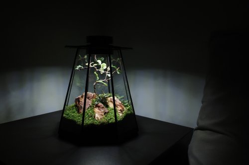 LUMIROOMI 璃光之間 飛行植景/苔蘚瓶/生態瓶/植物燈/鑲嵌玻璃