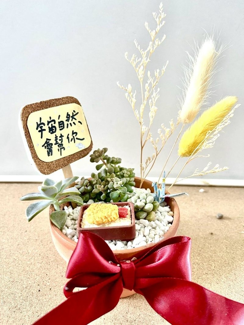台中 限量多肉組盆 多肉植物 日式枯山水 微景觀 炸蝦飯 慶祝開幕 - 盆栽/植栽 - 植物．花 綠色