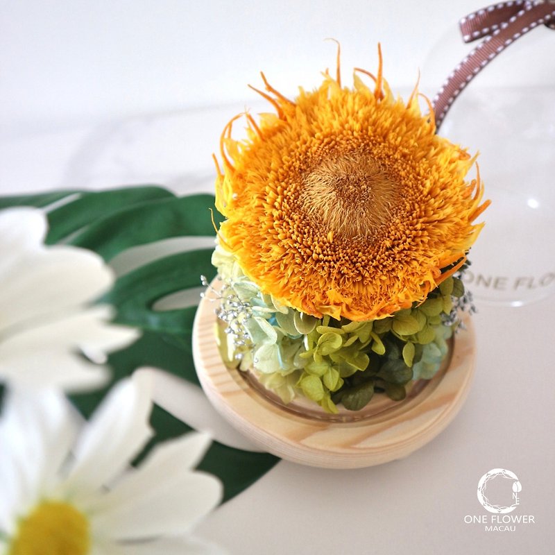 One Flower Preserved sunflower You are my sunshine - Items for Display - Glass Orange