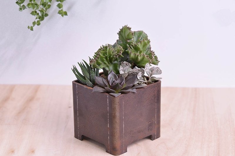 Loft Feng Shimun Feng Shui multi-purpose pot | Promotion official opening pot - Plants - Plants & Flowers Green