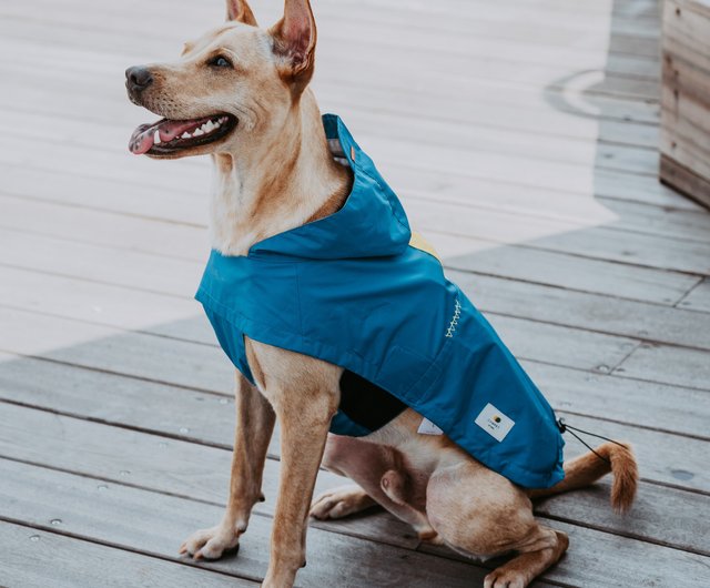 Alpha store dog clothing