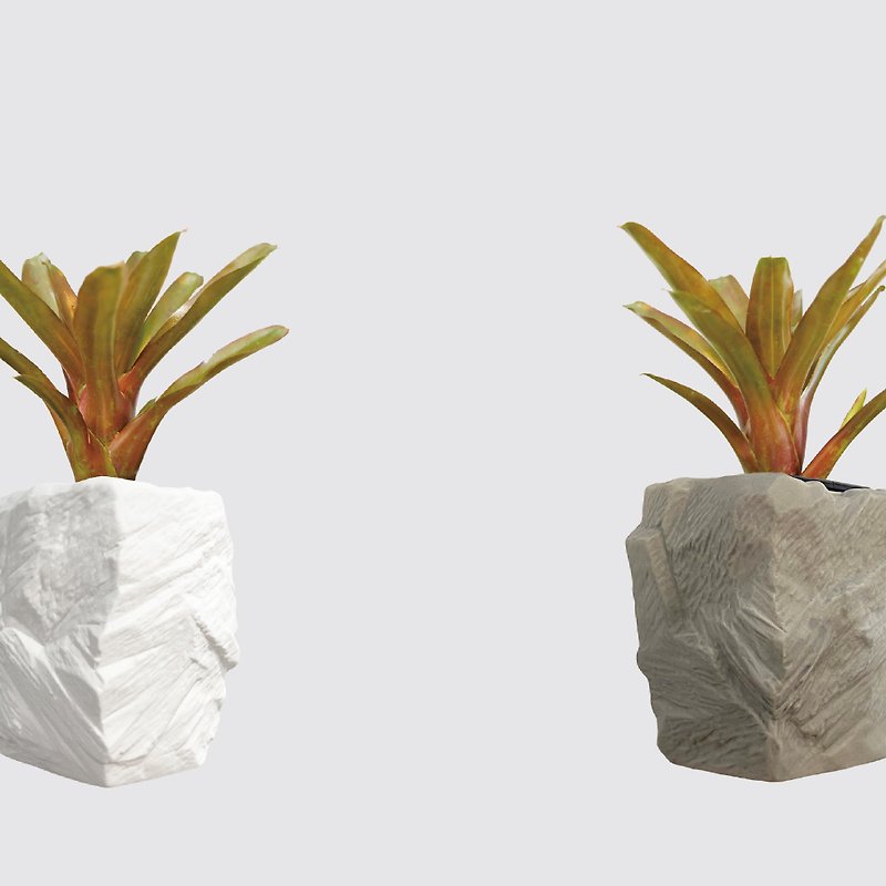 │ Square Pot Series│ Sekisui Pineapple - Hydroponic Potted Ceramic Pot - Plants - Plants & Flowers White