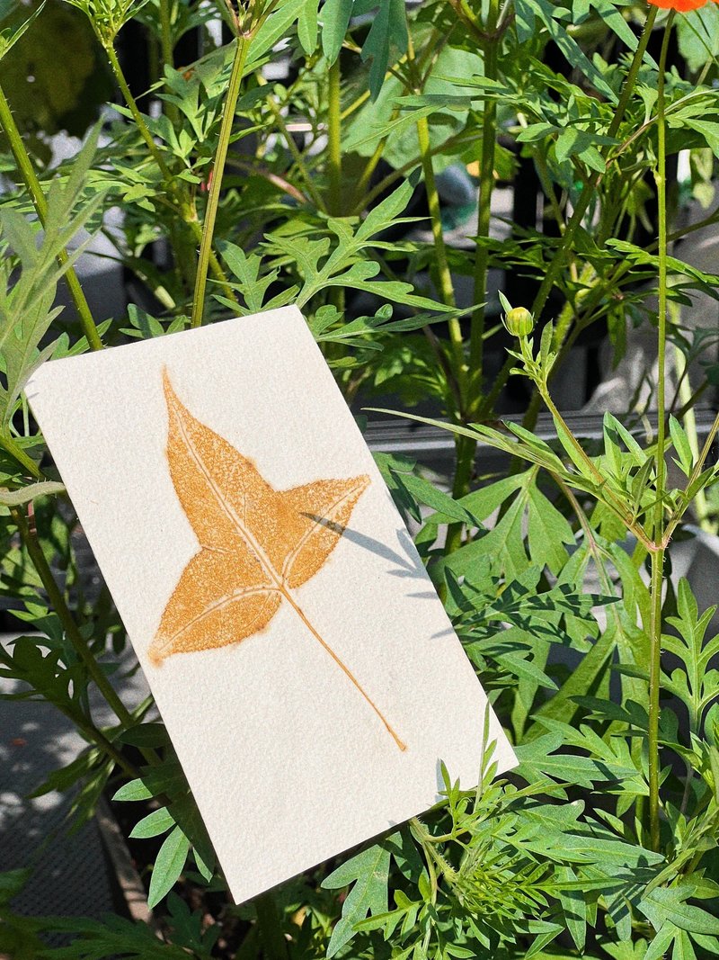 香港植物印染純棉水彩紙楓葉樹葉手工明信片 - 卡片/明信片 - 紙 多色