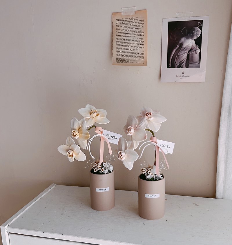 蝴蝶蘭永生香氛盆栽 - 裝飾/擺設  - 植物．花 