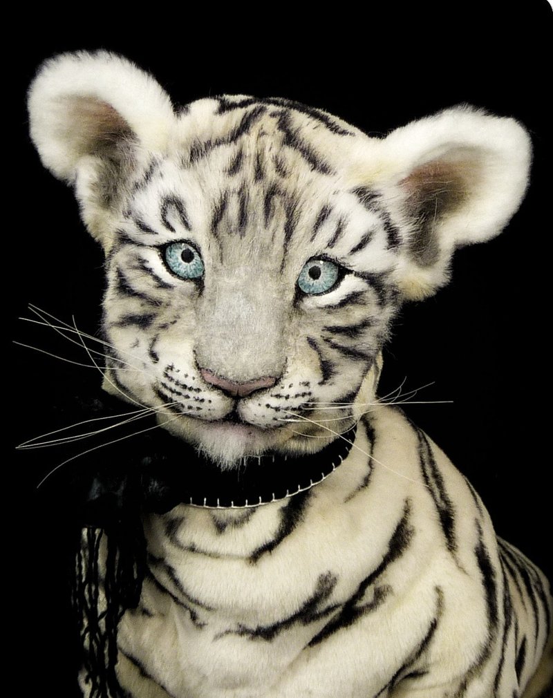 Custom made realistic stuffed white tiger cub doll - 公仔/玩偶 - 其他材質 