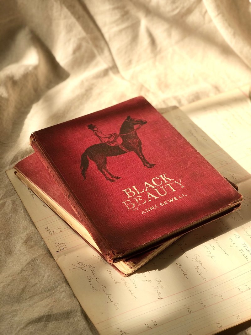 百年古董 1911年美國經典童書 Black Beauty - 刊物/書籍 - 紙 