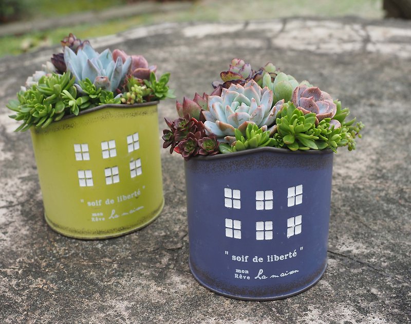 Healing Series | Sweet Home Succulent Plant Pot Set. Housewarming. give gifts - ตกแต่งต้นไม้ - โลหะ 