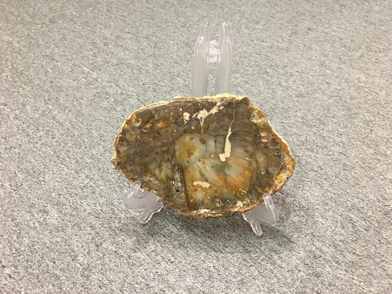 木化石擺件 - 令人的情緒心境都得到平穩安定的感覺 - 擺飾/家飾品 - 木頭 