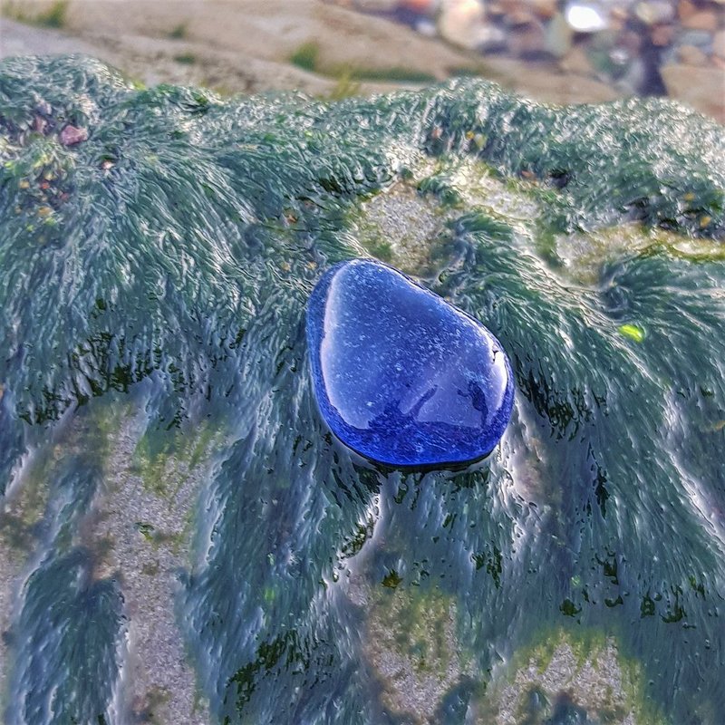 Large cobalt blue sea glass. Rare sea glass P069 - 其他 - 玻璃 藍色