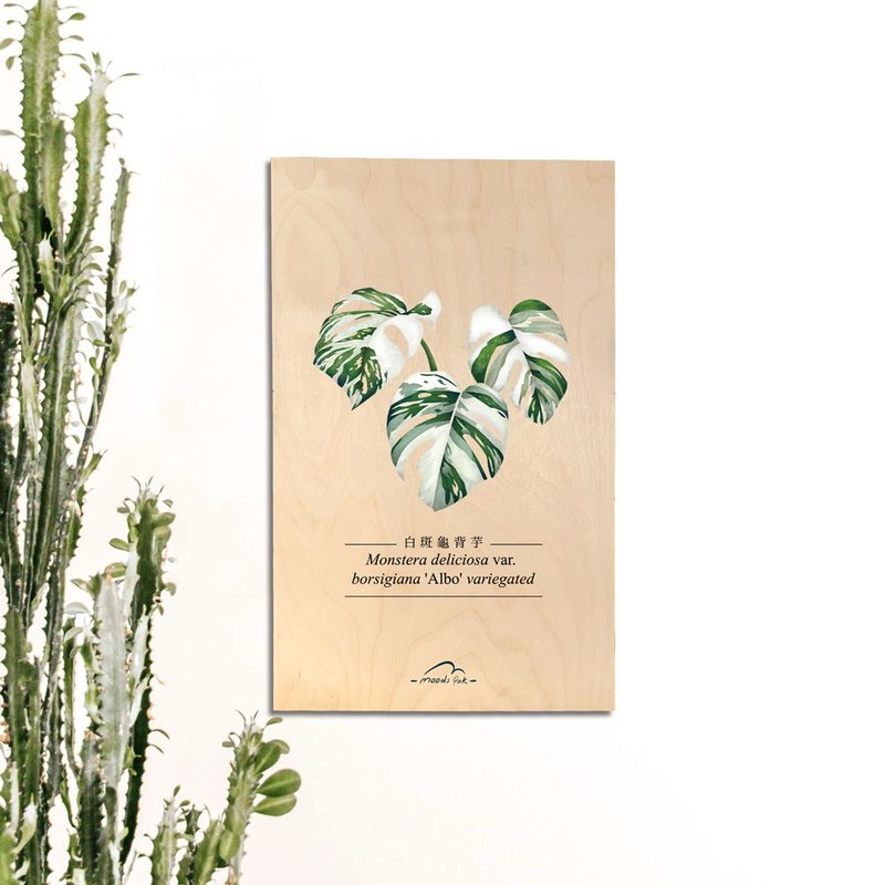 【木質掛畫】白斑龜背芋 台灣原創插畫 - 海報/掛畫/掛布 - 木頭 