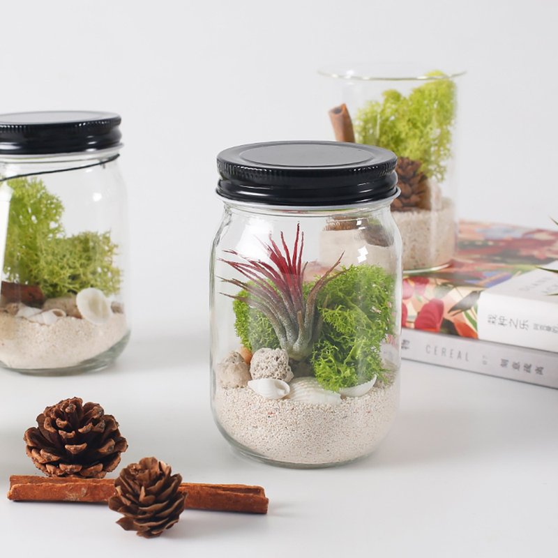 【炭草花】DIY手工自制微景觀材料包套件桌面青苔擺件 - 包裝材料/包裝紙 - 其他材質 多色