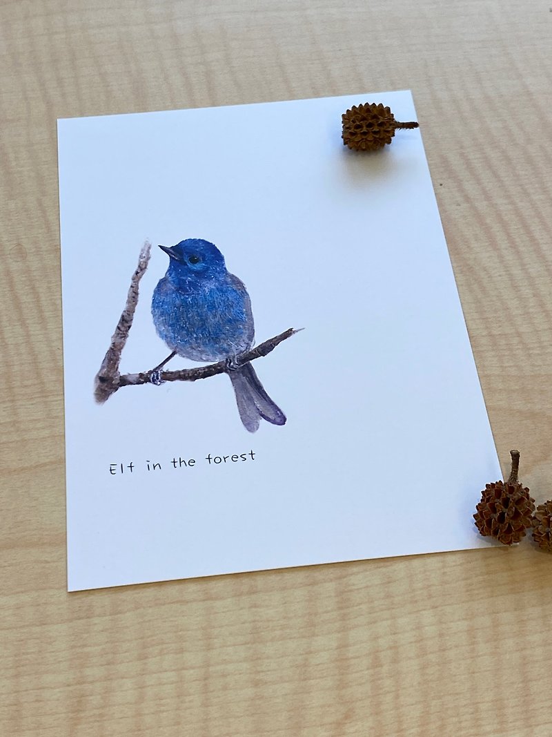 Hand painted black-necked blue flycatcher Elf in the forest postcard collection Taiwan endemic subspecies - Cards & Postcards - Paper White