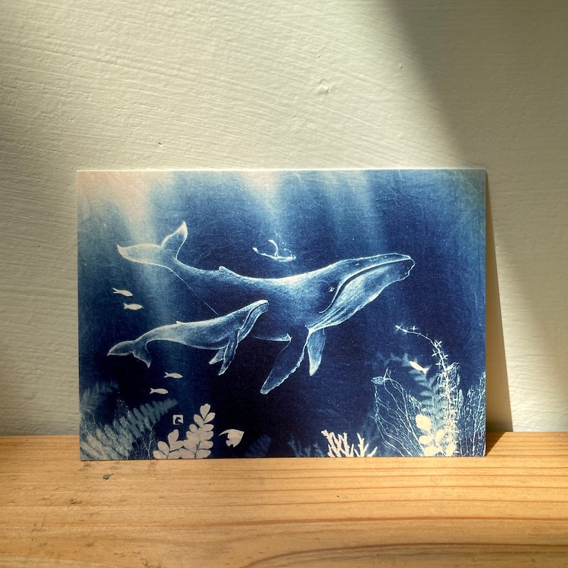 【Blue Sea Exploration】Cyanotype Art Postcard- Giant Whale/Ocean/Diving - Cards & Postcards - Paper Blue
