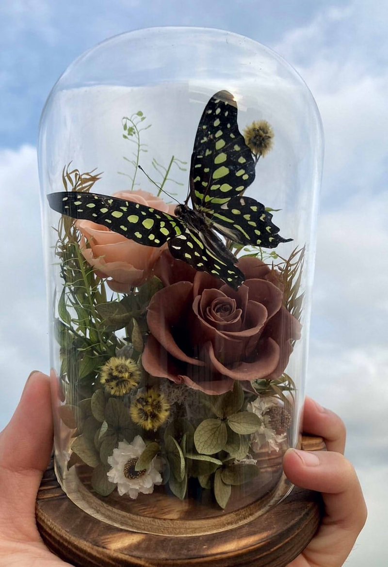 Butterfly specimen glass cup/green-spotted swallowtail butterfly/Chinese Valentine's Day/Father's Day gift/ecological bottle - Dried Flowers & Bouquets - Plants & Flowers Brown