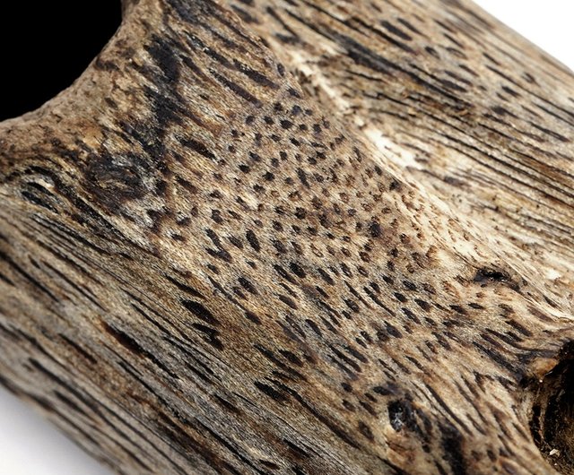 海南棋楠鉤いと糸 聞香 可食 沈香木 10グラム入り 海南棋楠鉤いと糸 聞香 可食 沈香木 10グラム入り 富山香