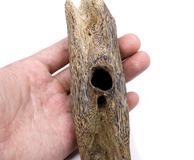 銘「村菊」 聞香　香木　沈香　伽羅　香道　奇南　伽南　沉香 銘「村菊」 聞香 香木 沈香 伽羅 香道 奇南 伽南 沉香