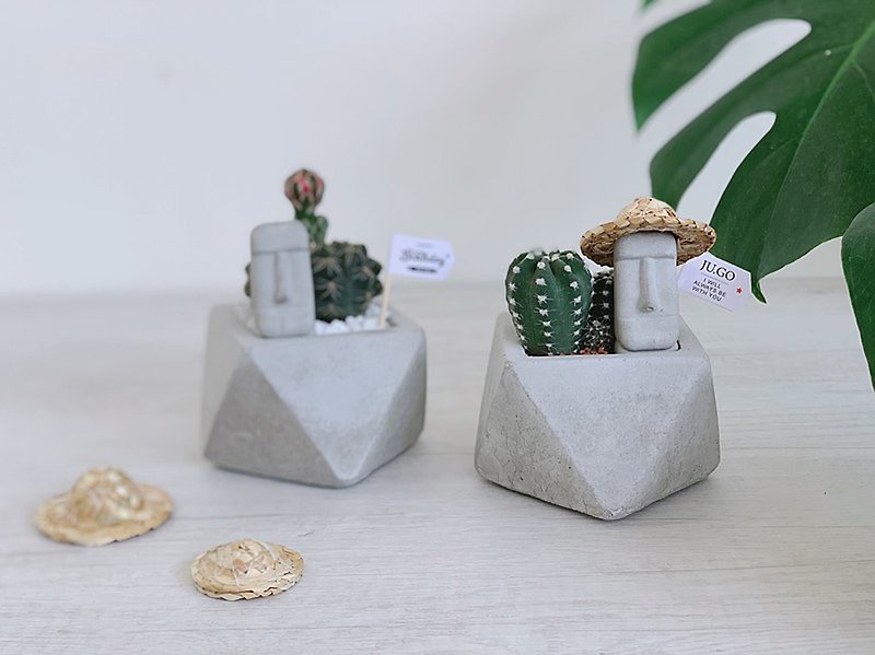 [24H shipping. Creative Christmas gift exchange] Moai Cactus Cement Potted Plant - ตกแต่งต้นไม้ - ปูน สีเทา