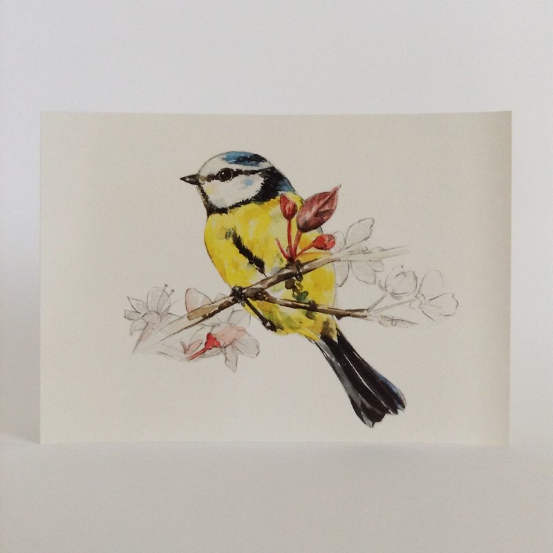 Bird ‧ postcard ‧0045 - Cards & Postcards - Paper 
