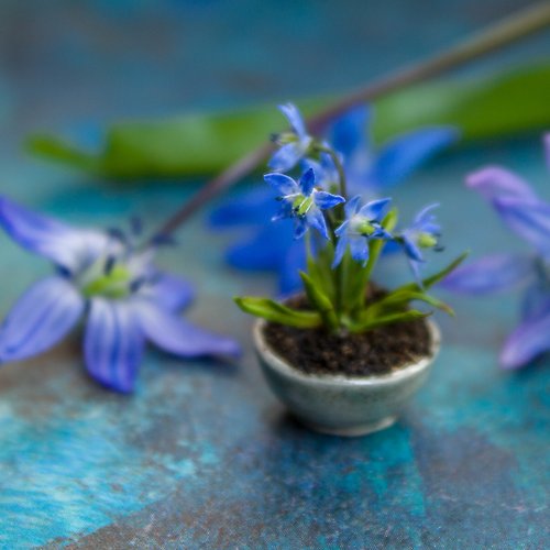 Rina Vellichor Miniatures TUTORIAL Miniature wood squill with air dry clay | PDF + video