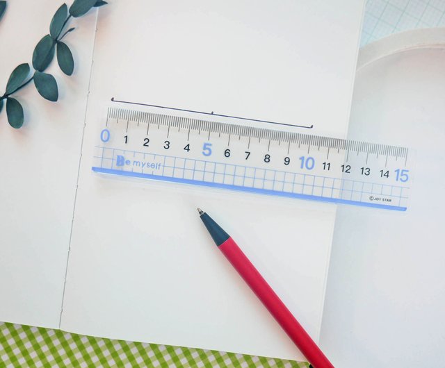 Large Print Ruler