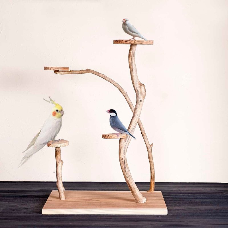 Driftwood Perch  Birdland Lullaby  Bird stand, perch, driftwood, driftwood art, - 貓/狗玩具 - 木頭 咖啡色