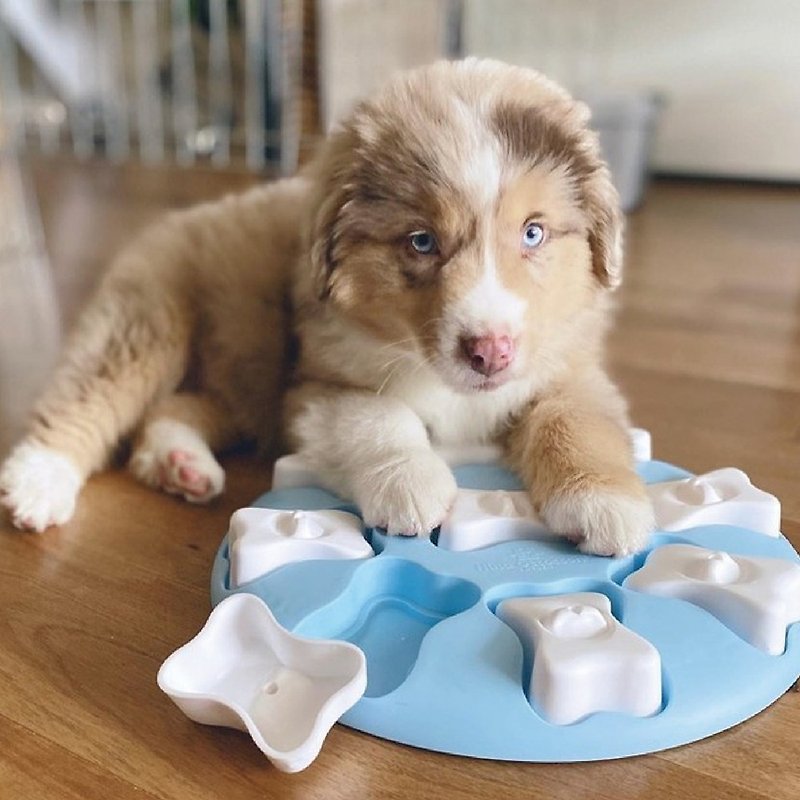 【瑞典益智玩具】聰明狗-造型圓骨盤 (2色) LV1寵物玩具 - 貓/狗玩具 - 橡膠 