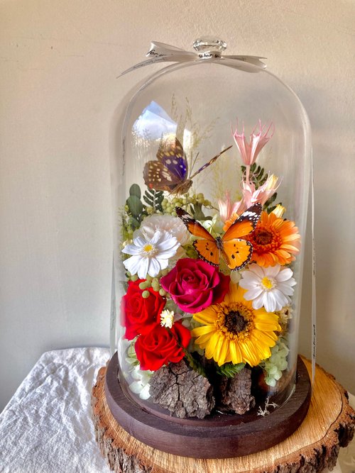 鯉花 Koiflora life 國寶蝶大紫蛺蝶∣永生花玻璃盅∣開幕∣情人節∣入厝∣紀念日