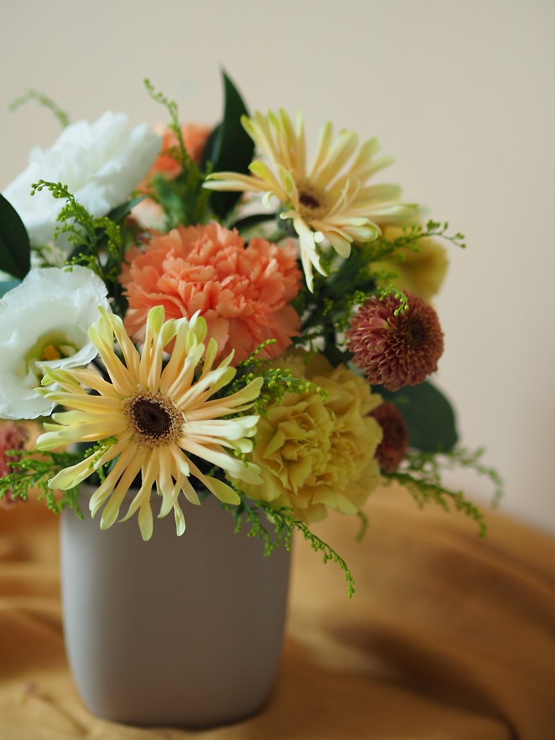Fresh and vibrant small potted flowers - ช่อดอกไม้แห้ง - พืช/ดอกไม้ สีส้ม