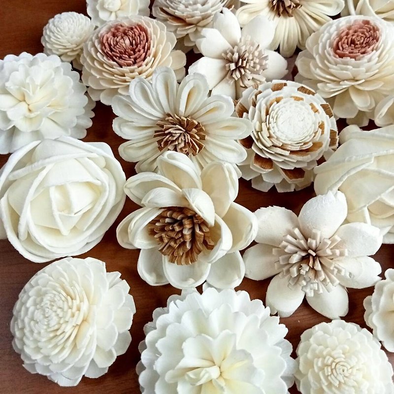 Perfume diffuser flowers, sola flower assorted styles, 3-5 cm., 50 flowers. - 花藝/盆栽/植栽 - 植物．花 
