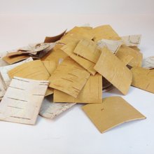 白樺の皮　樹皮シート　20枚 白樺の樹皮シート - ショップ Birch bark 木工/竹細工