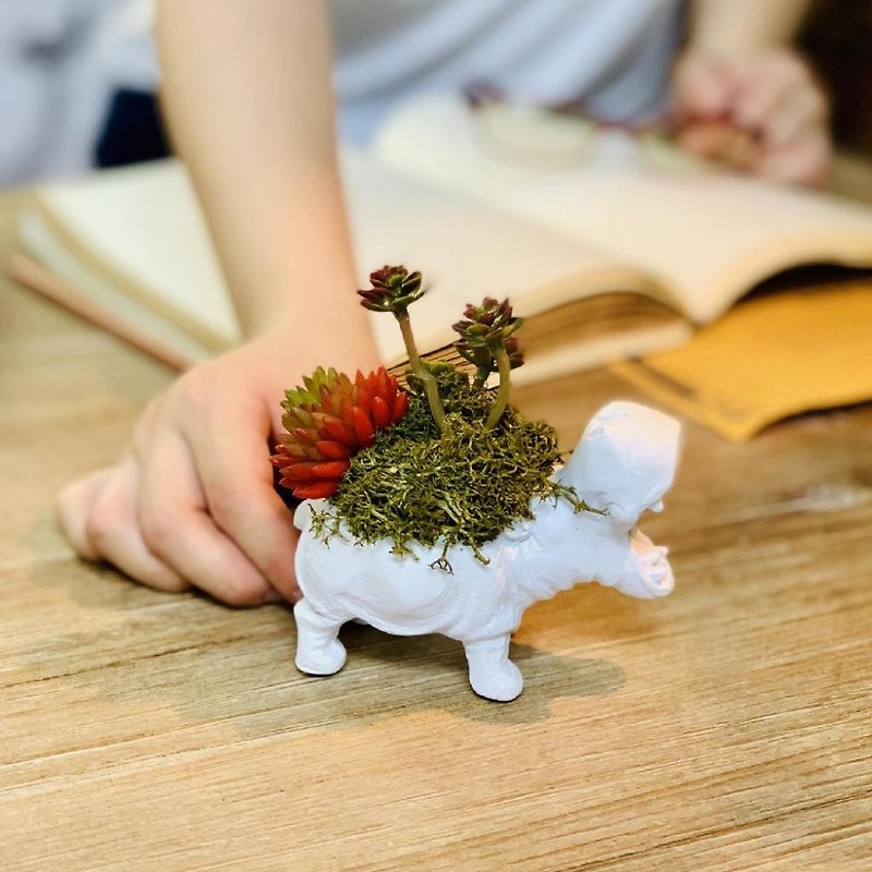 [SPICE] Japanese animal-shaped artificial green potted plant-hippopotamus - Items for Display - Other Materials Multicolor