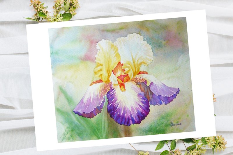 Poster Multi-coloured Iris in the Garden, Watercolor Flowers for Gift - โปสเตอร์ - กระดาษ หลากหลายสี