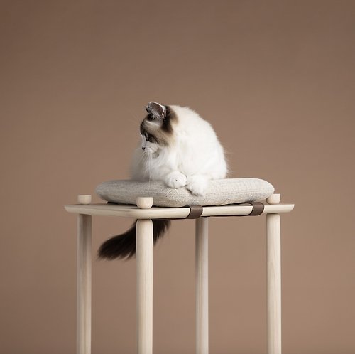 LOVE PET FAMILY 加拿大 PAPUK 貓跳台爬架寵物墊 Connect Cushion