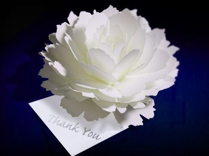 咲くようにひらく 花のサンキューカード ピオニー　forバースデー・ウェディング・アニバーサリー - 心意卡/卡片 - 紙 白色