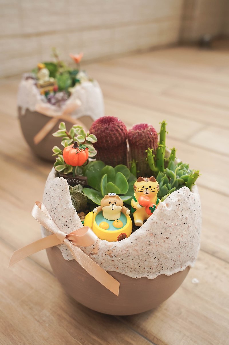 [Plants and Flowers] Big cute egg-shaped cactus succulent potted plant birthday gift opening promotion gift - ตกแต่งต้นไม้ - พืช/ดอกไม้ 