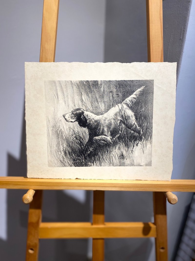 華盛頓DC藝術家Morgan Stinemetz-羅素梗犬-蝕刻版畫-Etching - 海報/掛畫/掛布 - 紙 白色