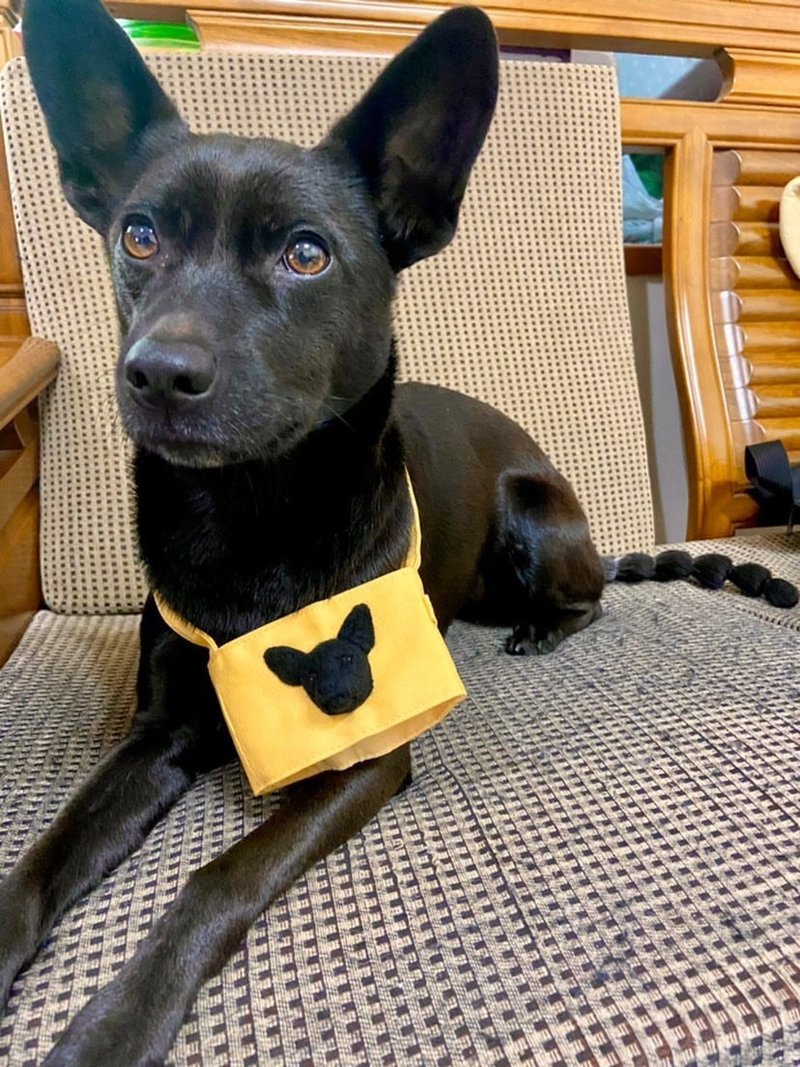 客製杯套-米克斯小黑狗 - 編織/刺繡/羊毛氈/縫紉 - 羊毛 