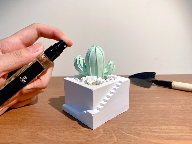 仙人掌擴香石組合包 - 蠟燭/香氛/手工皂 - 其他材質 