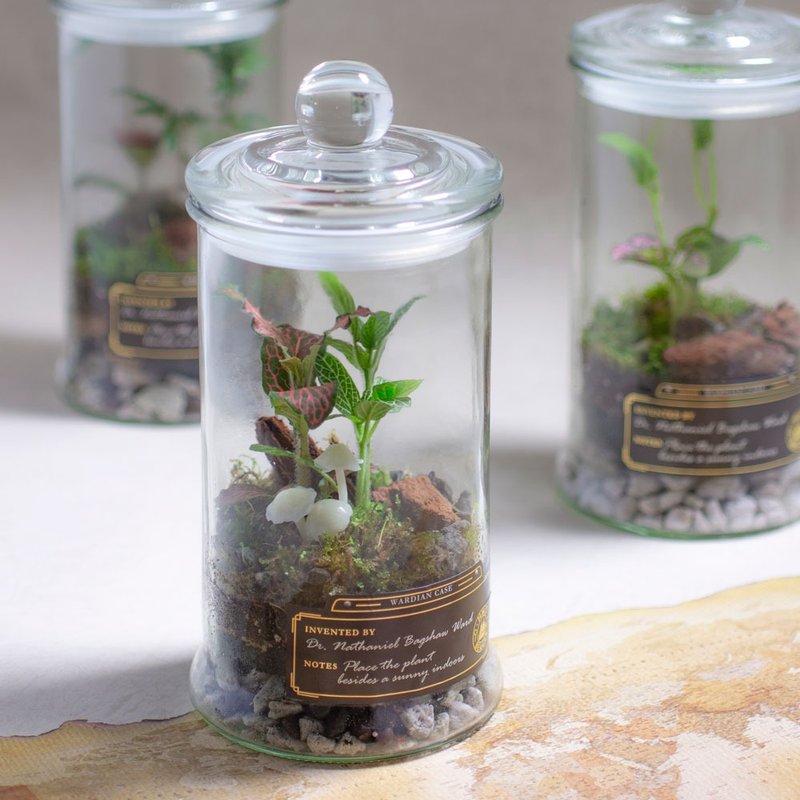 打造自己的華德箱/植物生態瓶【成人/親子班】 - 植栽/花藝 - 其他材質 