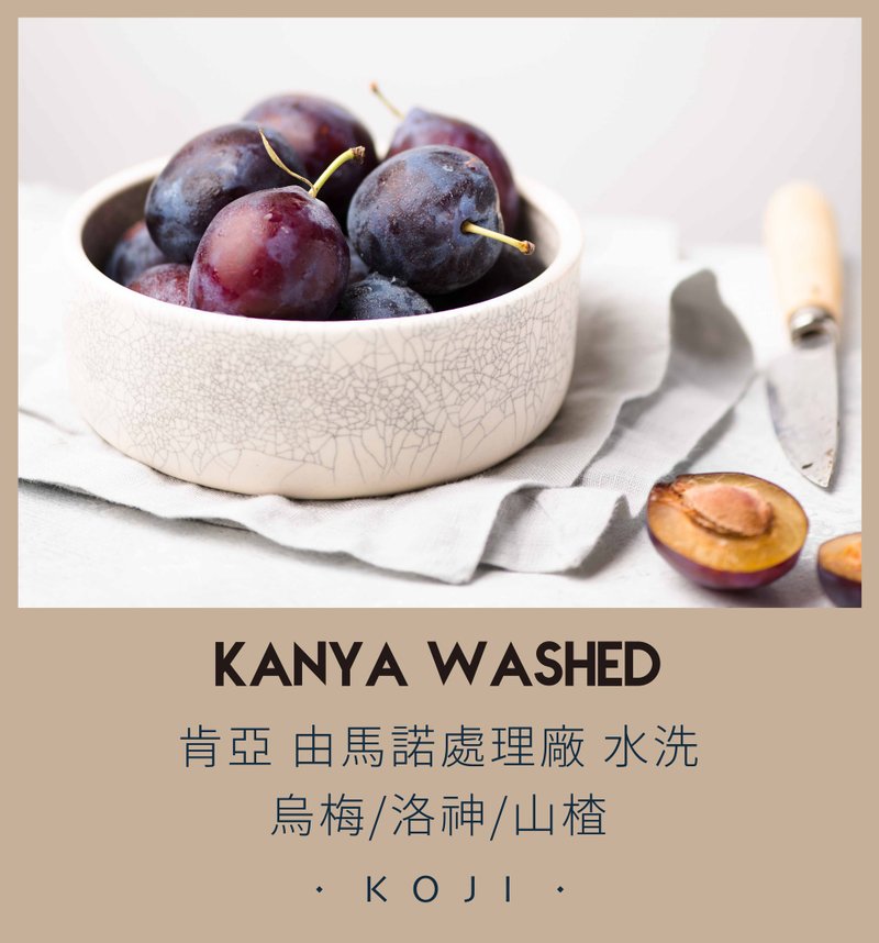 肯亞 淺烘焙 水洗 由馬諾處理廠 咖啡豆 掛耳包 - 咖啡/咖啡豆 - 新鮮食材 白色