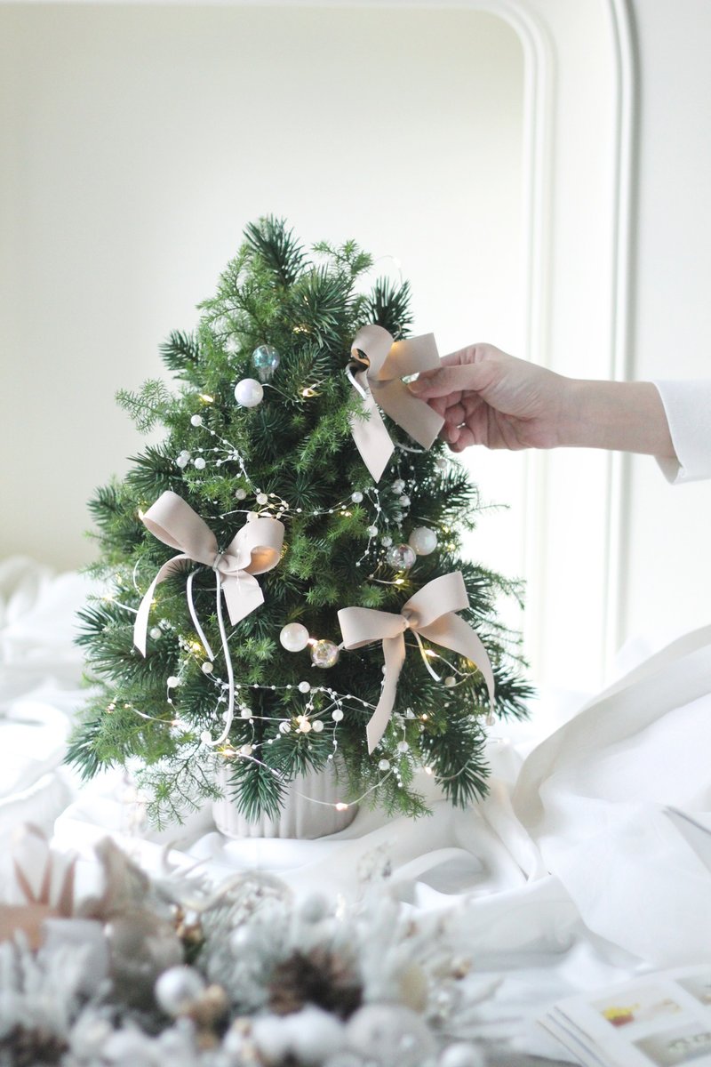 簡約系淺奶茶【新鮮聖誕樹】諾貝松雪松 聖誕樹 - 盆栽/植栽 - 植物．花 多色