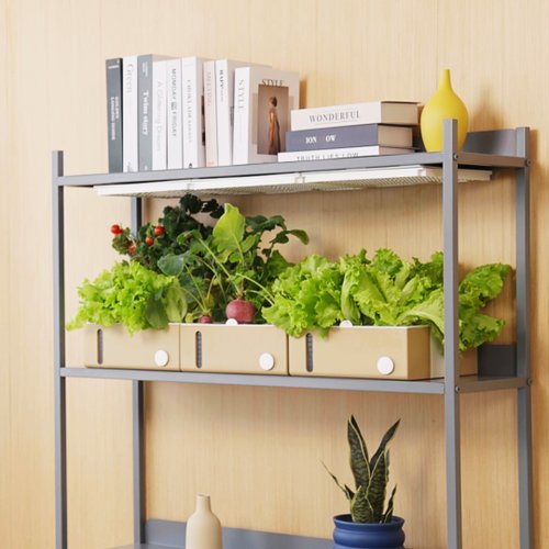 veggroom Verda Garden Modular 全套 (種植燈 + 種植箱) | 水耕機種菜機