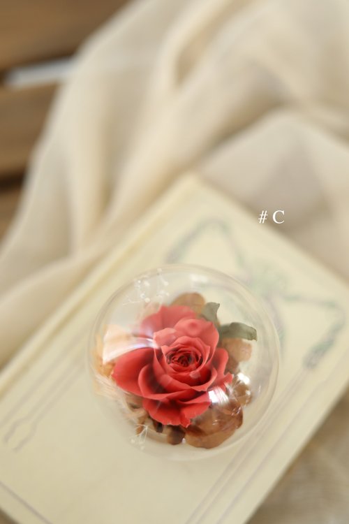 VENUSOFI 維娜索菲 微瑕疵 迷你水晶泡泡球 / 生日禮物 永生花不凋花 乾燥花 玻璃球